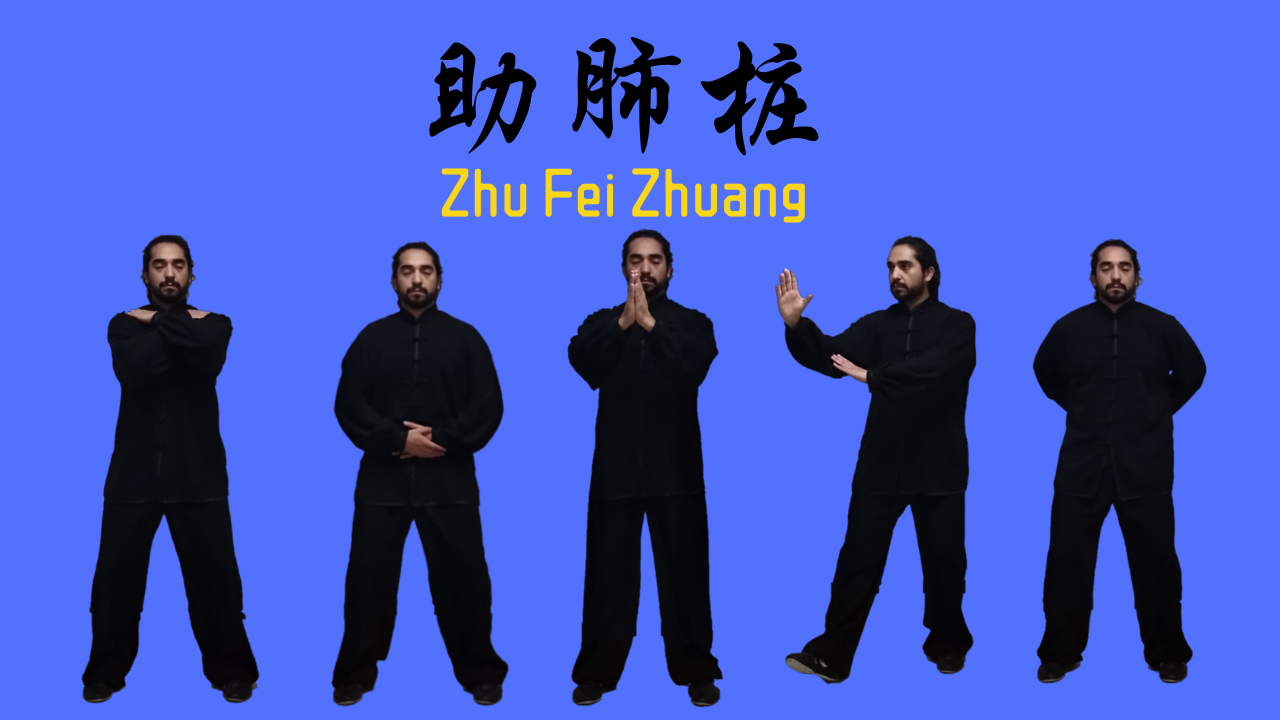 qigong para el otoño zhufeizhuang