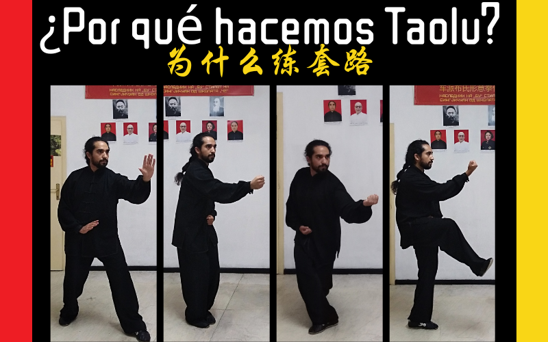 Taolu